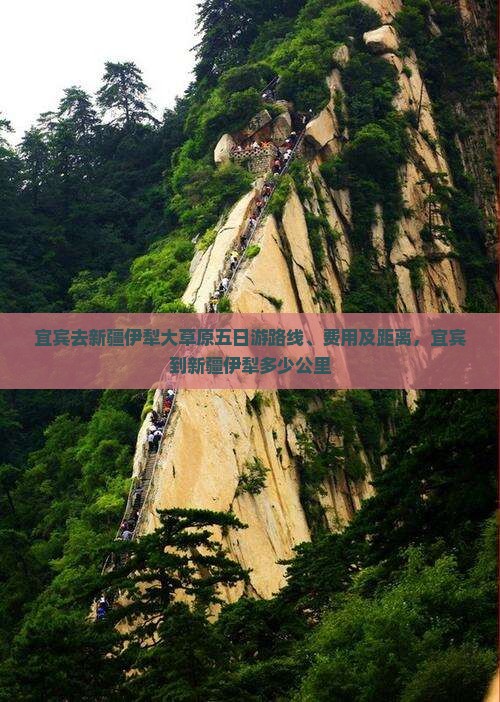 宜宾去新疆伊犁大草原五日游
