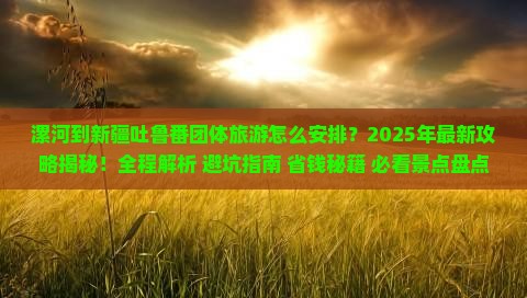 漯河到新疆吐鲁番团体旅游