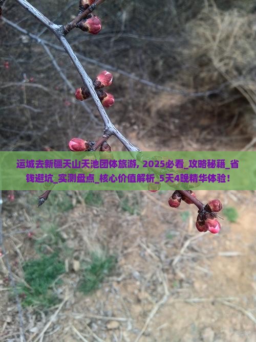 运城去新疆天山天池团体旅游
