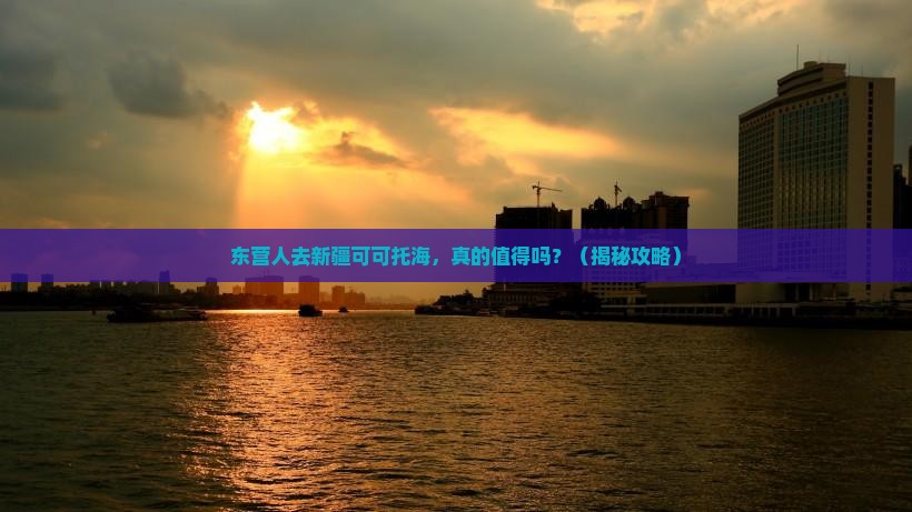 东营去新疆可可托海团体旅游