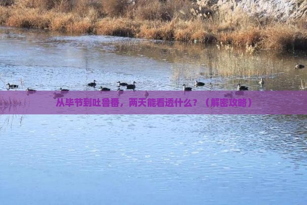 毕节到新疆吐鲁番二日游