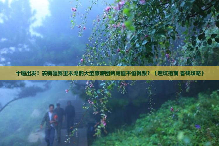 十堰到新疆赛里木湖大型旅游团