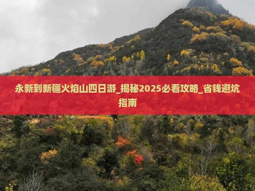 永新到新疆火焰山四日游