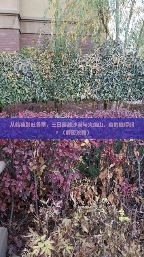 临猗到新疆吐鲁番三日游