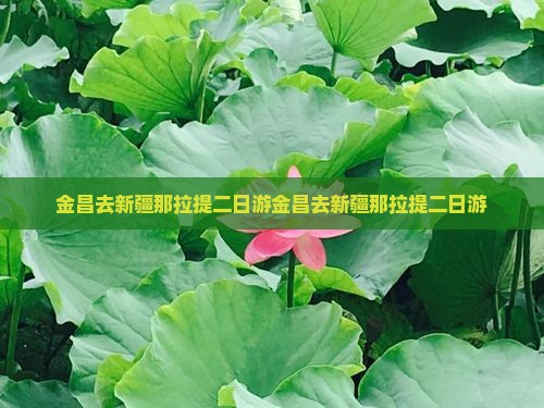 金昌去新疆那拉提二日游
