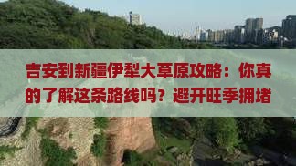 吉安到新疆伊犁大草原攻略