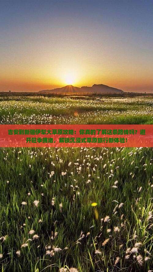吉安到新疆伊犁大草原攻略