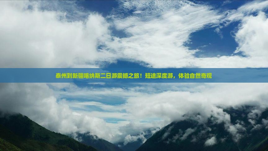 泰州到新疆喀纳斯二日游