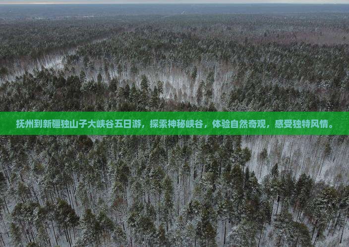 抚州到新疆独山子大峡谷五日游