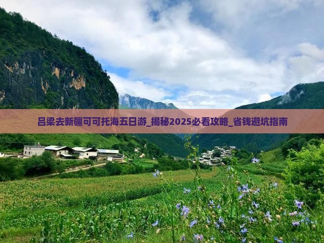 吕梁去新疆可可托海五日游