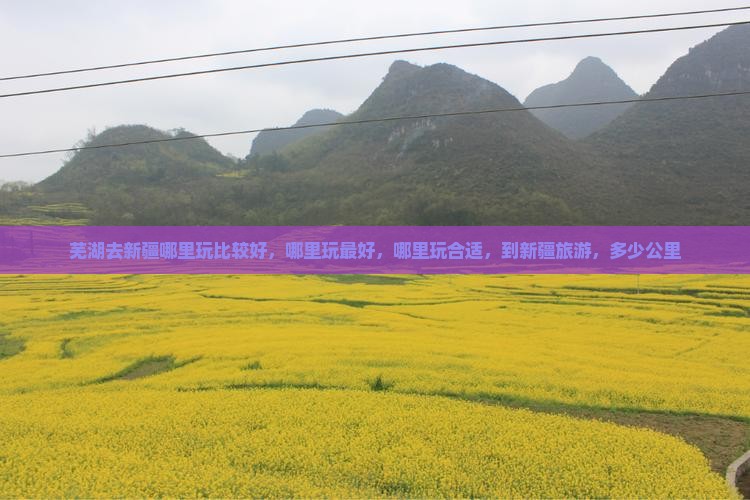 芜湖去新疆哪里玩