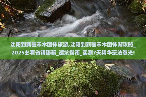 沈阳到新疆禾木团体旅游