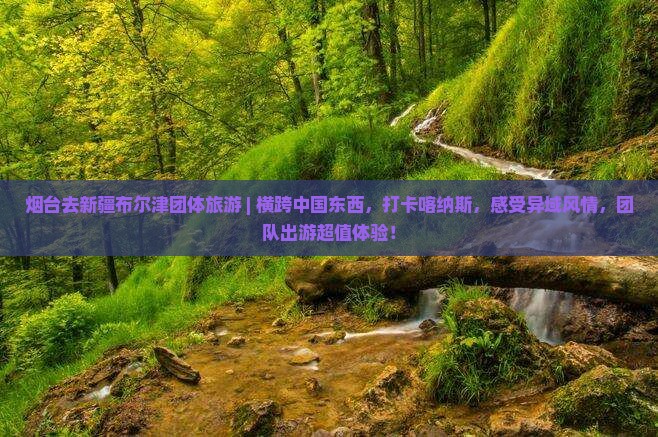 烟台去新疆布尔津团体旅游
