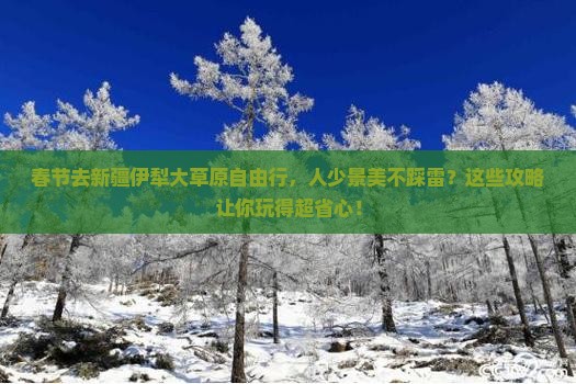 春节去新疆伊犁大草原自由行