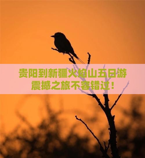 贵阳到新疆火焰山五日游