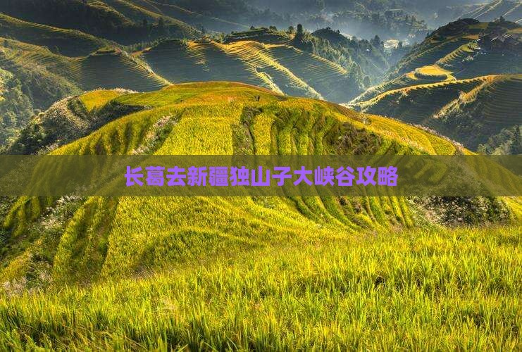 长葛去新疆独山子大峡谷门票