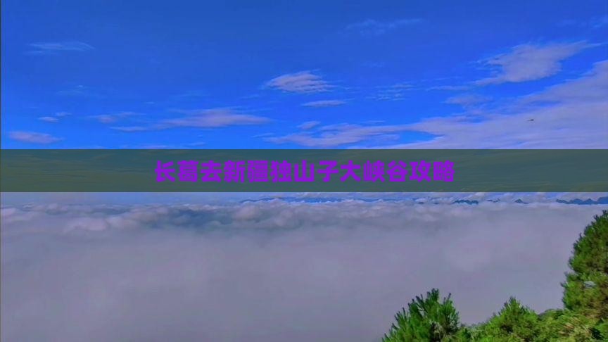 长葛去新疆独山子大峡谷门票