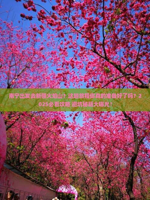 南宁到新疆火焰山攻略