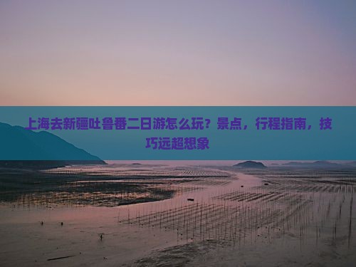 上海去新疆吐鲁番二日游