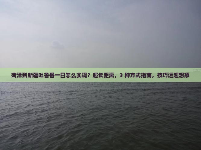 菏泽到新疆吐鲁番一日