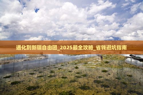 通化到新疆自由团