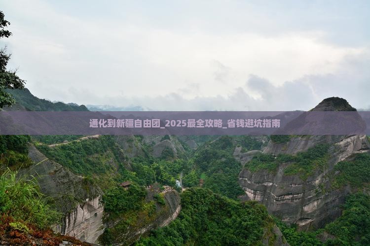 通化到新疆自由团