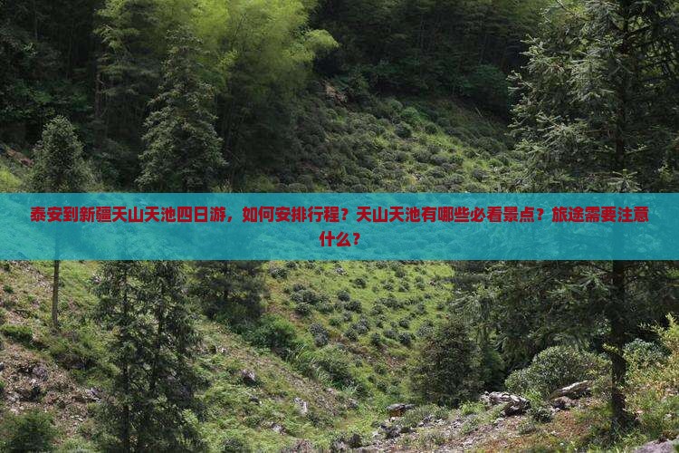 泰安到新疆天山天池四日游 泰安到新疆天山天池四日游