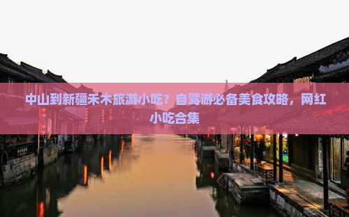 中山到新疆禾木旅游小吃