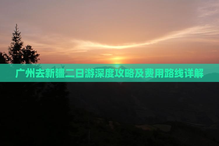 广州去新疆二日游