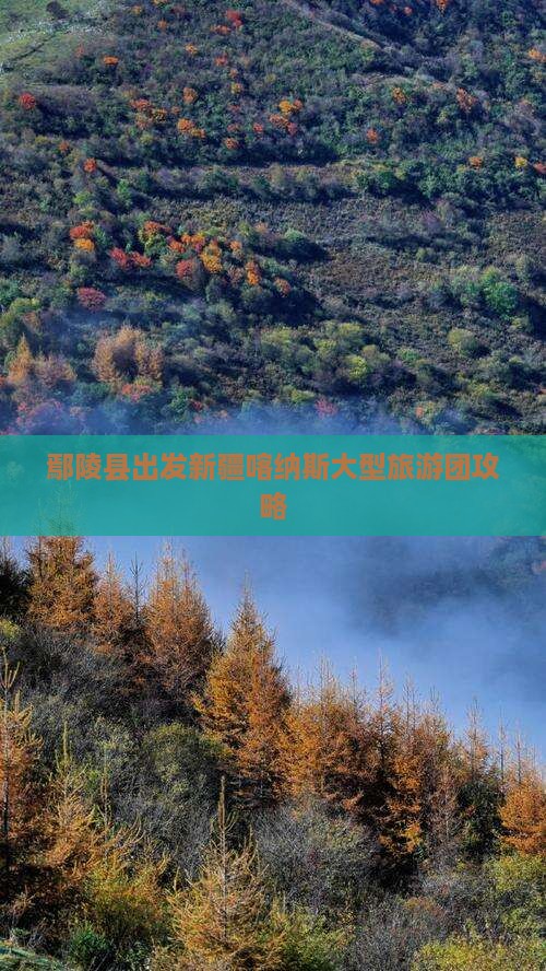 鄢陵县到新疆喀纳斯大型旅游团 鄢陵县到新疆喀纳斯大型旅游团