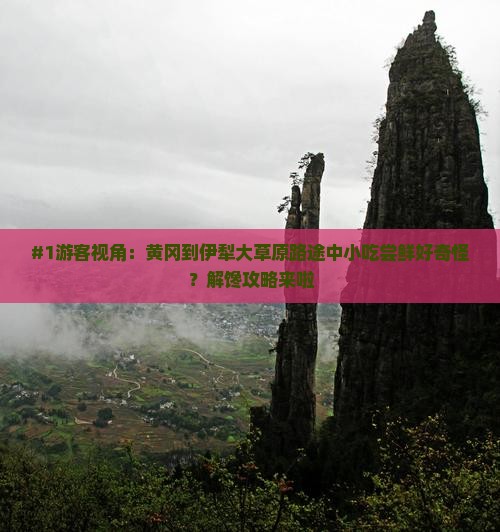 黄冈到新疆伊犁大草原旅游小吃