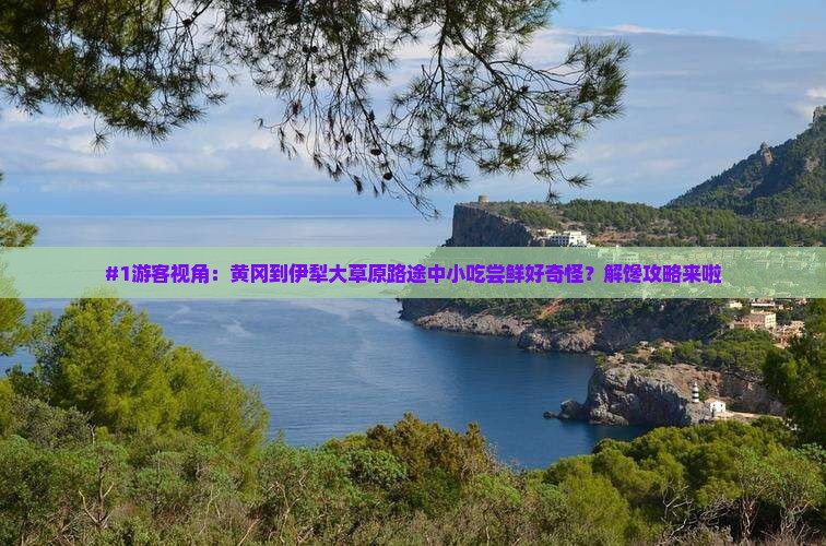 黄冈到新疆伊犁大草原旅游小吃