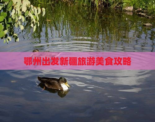鄂州到新疆旅游小吃