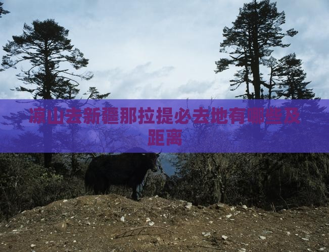 凉山去新疆那拉提必去地
