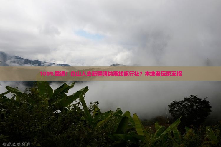 白山到新疆喀纳斯旅行社