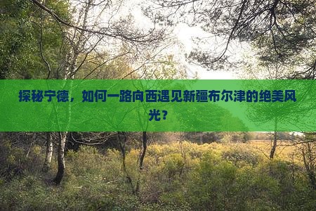 宁德到新疆布尔津哪里玩