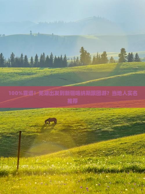 芜湖去新疆喀纳斯旅行社