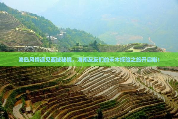 海南到新疆禾木大型旅游团