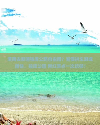 渭南去新疆独库公路自由团