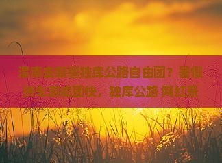 渭南去新疆独库公路自由团