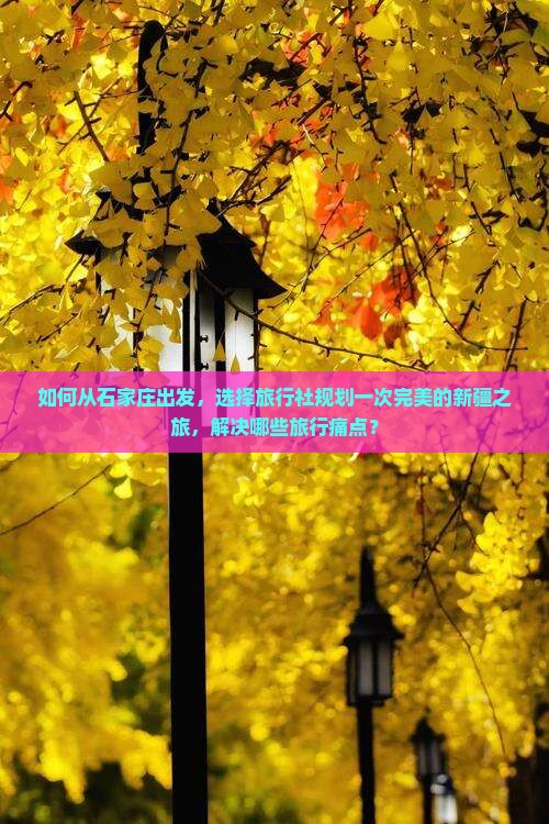 石家庄到新疆旅行社