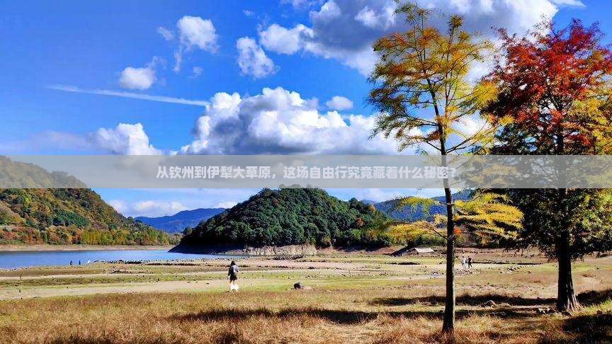 钦州去新疆伊犁大草原自由团