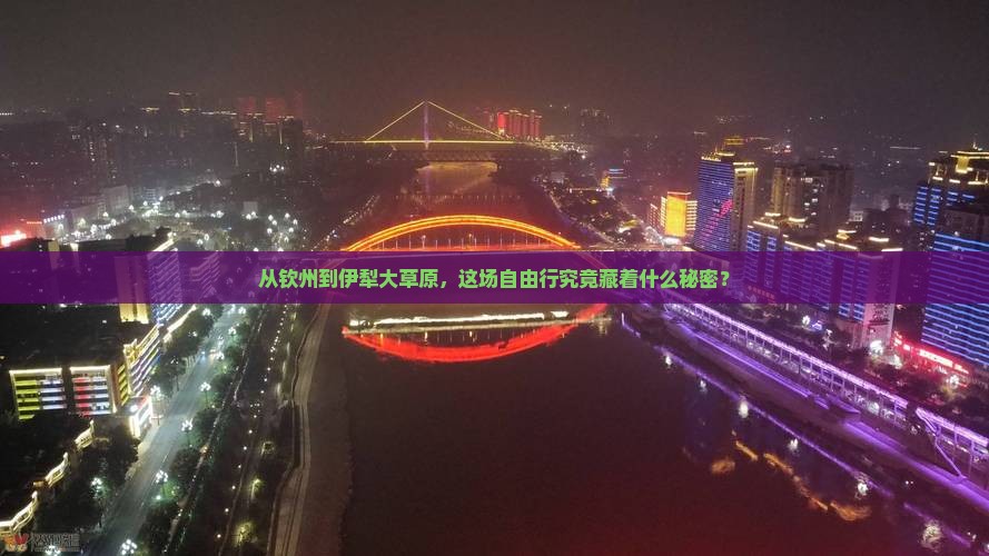 钦州去新疆伊犁大草原自由团
