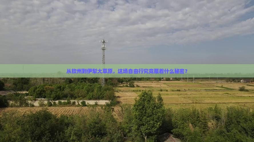 钦州去新疆伊犁大草原自由团