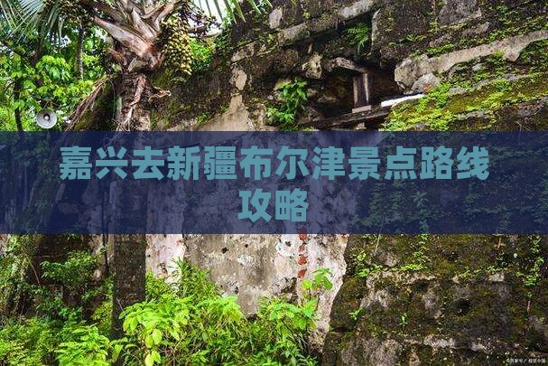 嘉兴去新疆布尔津景点 嘉兴去新疆布尔津景点