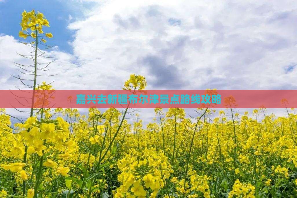 嘉兴去新疆布尔津景点 嘉兴去新疆布尔津景点