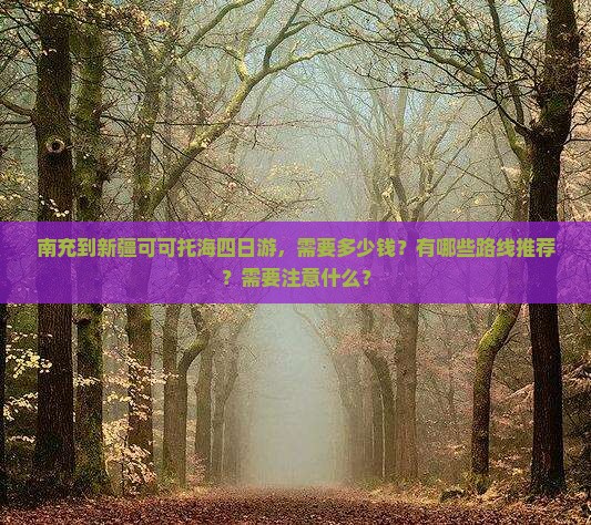 南充到新疆可可托海四日游
