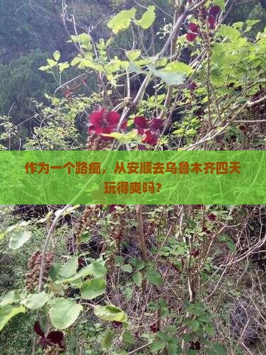 安顺到新疆乌鲁木齐四日游