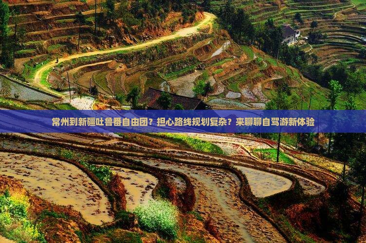 常州到新疆吐鲁番自由团