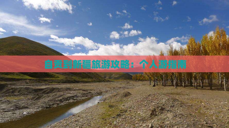 自贡去新疆个人游